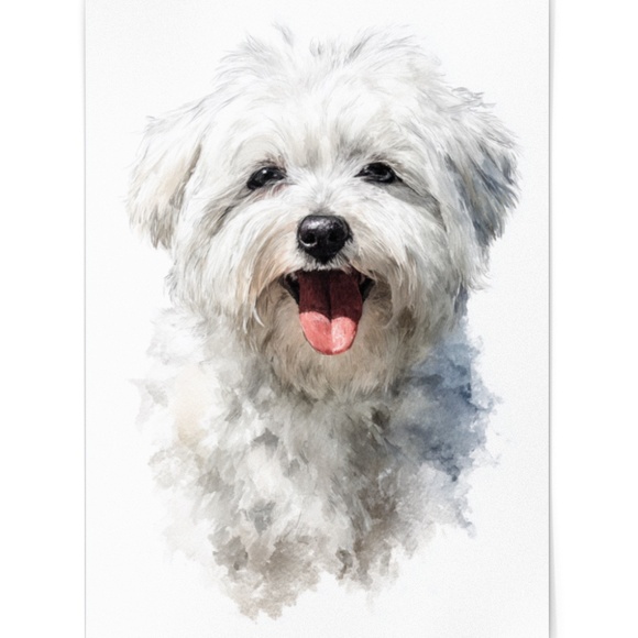 Watercolor White Maltese Dog Portrait Wall Art Print Poster, Unframed - Picture 2 of 6